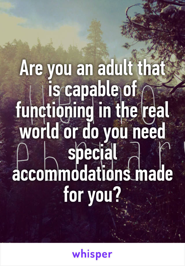 Are you an adult that is capable of functioning in the real world or do you need special accommodations made for you?