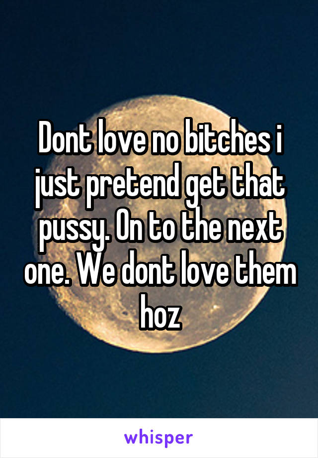 Dont love no bitches i just pretend get that pussy. On to the next one. We dont love them hoz