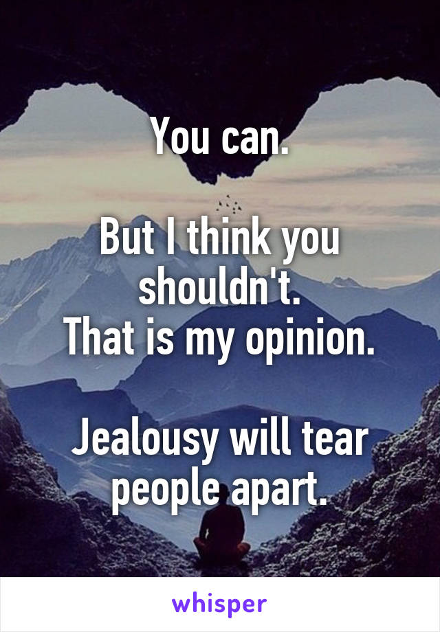 You can.

But I think you shouldn't.
That is my opinion.

Jealousy will tear people apart.