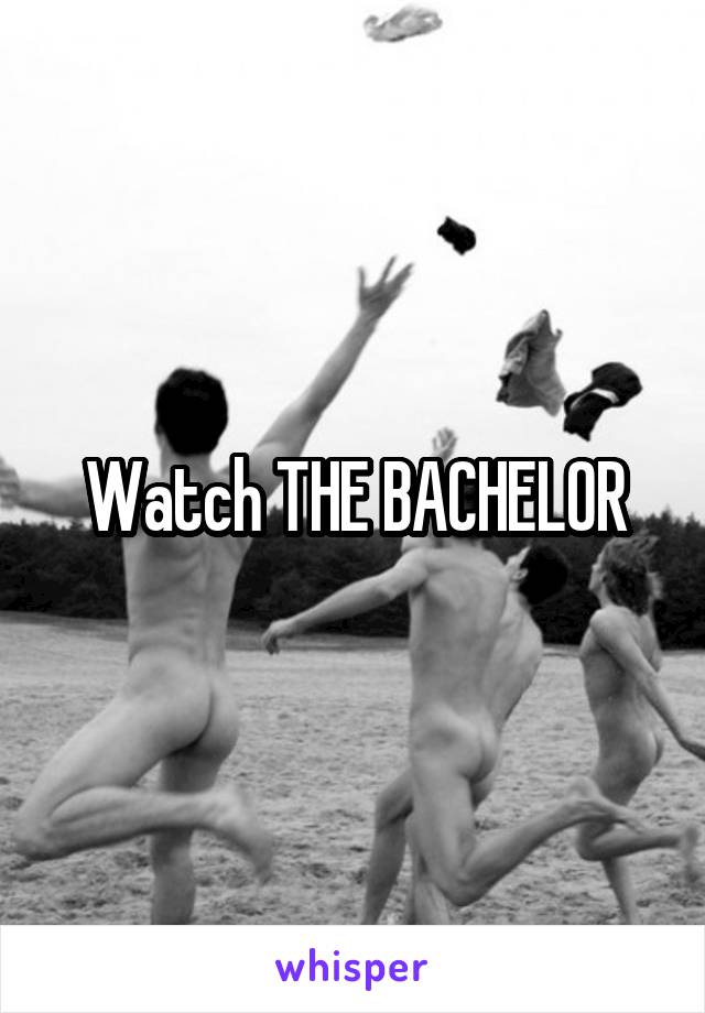 Watch THE BACHELOR