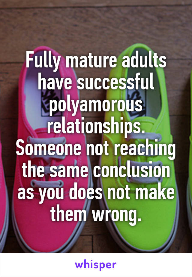 Fully mature adults have successful polyamorous relationships. Someone not reaching the same conclusion as you does not make them wrong.