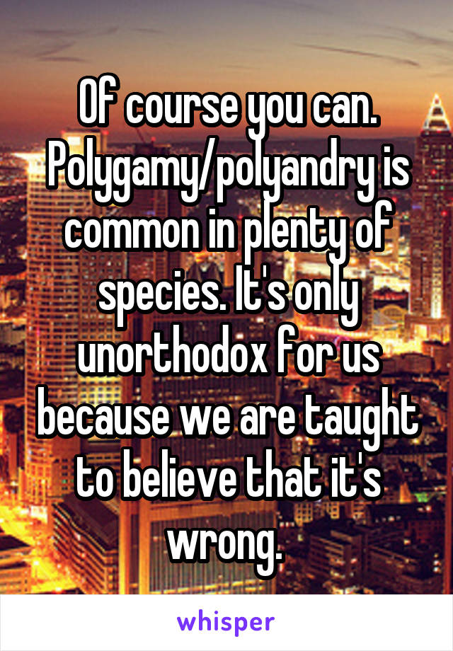 Of course you can. Polygamy/polyandry is common in plenty of species. It's only unorthodox for us because we are taught to believe that it's wrong. 