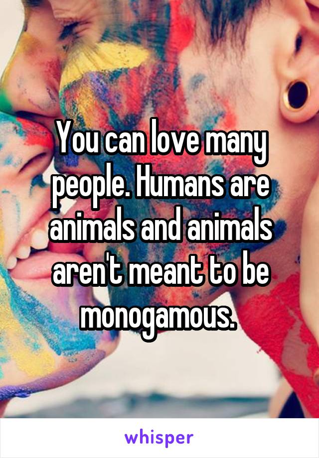 You can love many people. Humans are animals and animals aren't meant to be monogamous. 