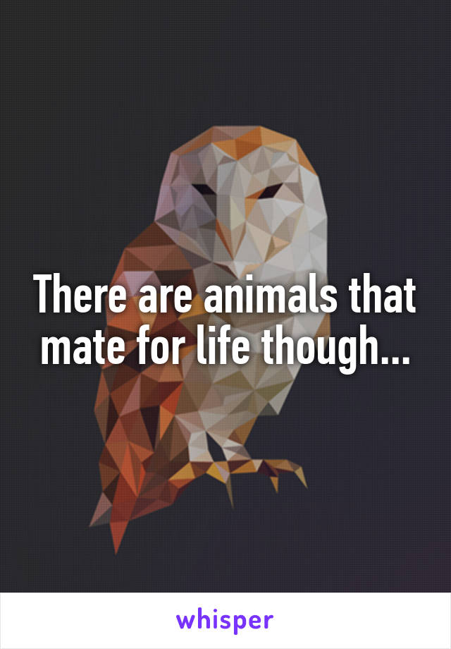 There are animals that mate for life though...