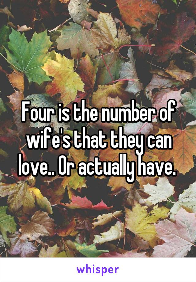 Four is the number of wife's that they can love.. Or actually have. 