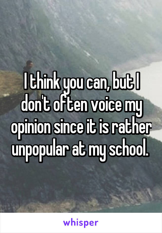 I think you can, but I don't often voice my opinion since it is rather unpopular at my school. 