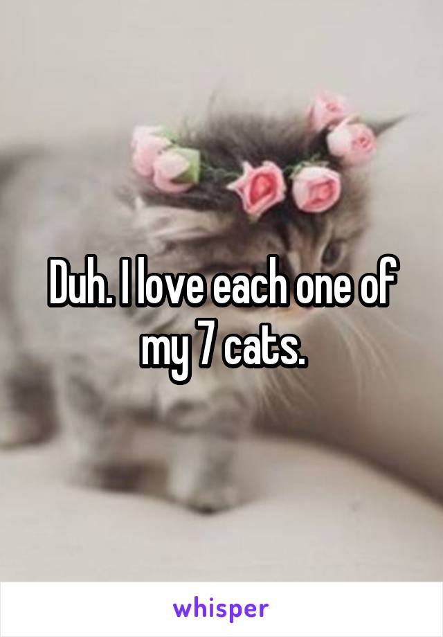 Duh. I love each one of my 7 cats.