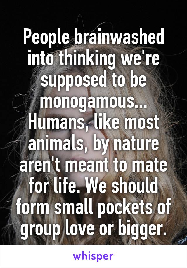 People brainwashed into thinking we're supposed to be monogamous... Humans, like most animals, by nature aren't meant to mate for life. We should form small pockets of group love or bigger.