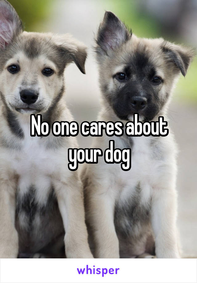 No one cares about your dog