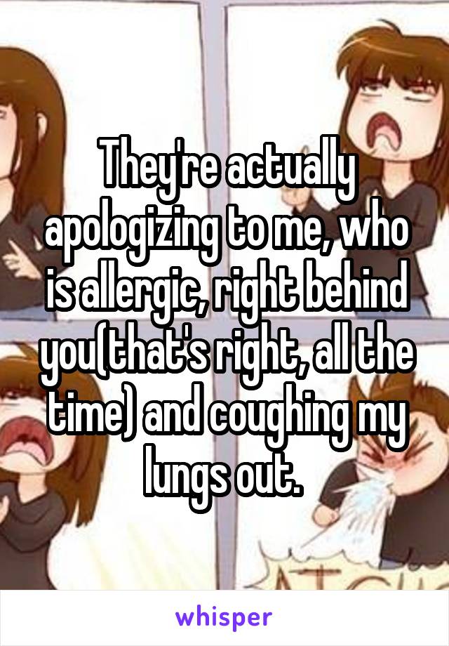 They're actually apologizing to me, who is allergic, right behind you(that's right, all the time) and coughing my lungs out. 