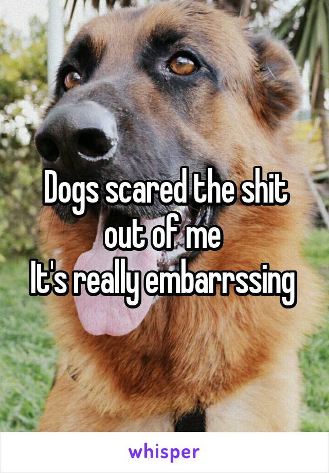 Dogs scared the shit out of me 
It's really embarrssing 