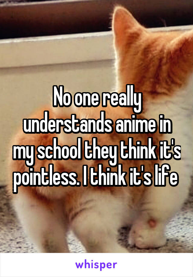 No one really understands anime in my school they think it's pointless. I think it's life 