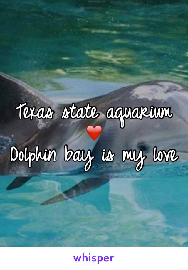 Texas state aquarium ❤️
Dolphin bay is my love 