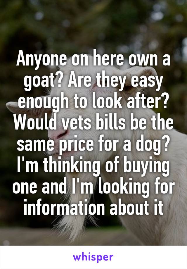 Anyone on here own a goat? Are they easy enough to look after? Would vets bills be the same price for a dog? I'm thinking of buying one and I'm looking for information about it