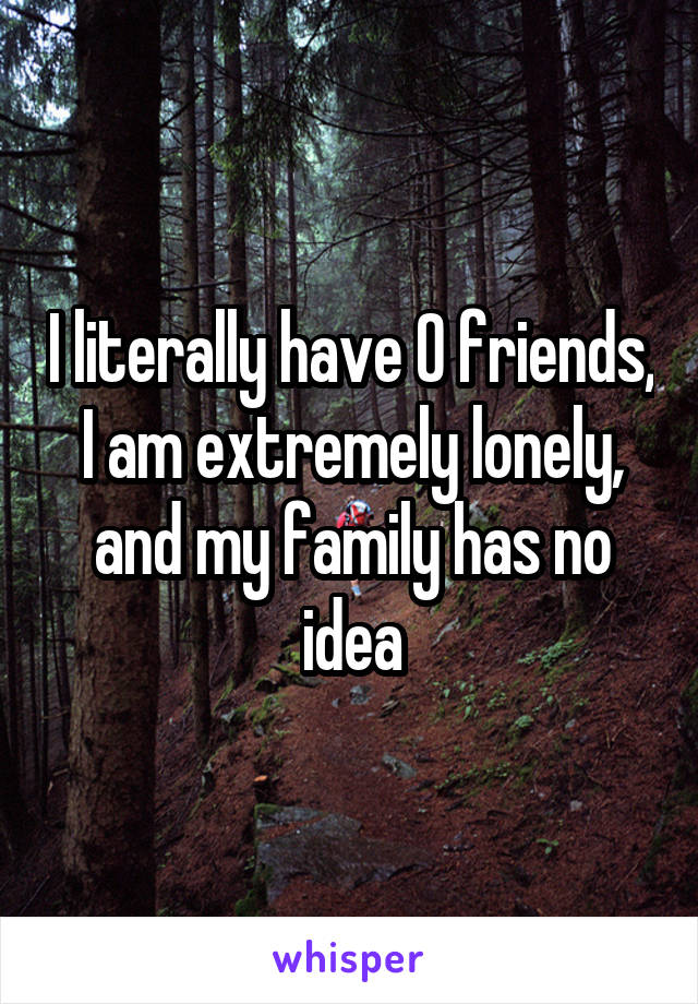 I literally have 0 friends, I am extremely lonely, and my family has no idea