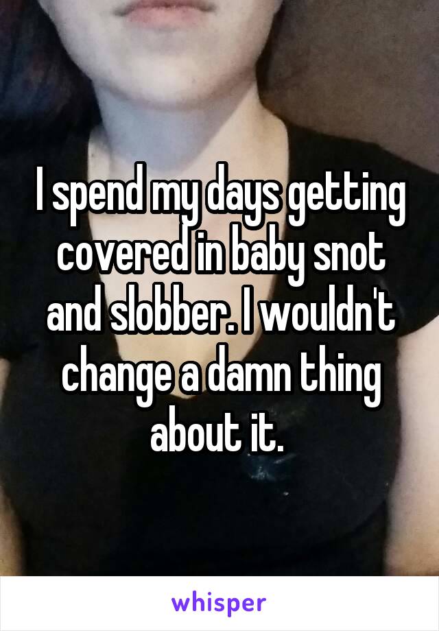 I spend my days getting covered in baby snot and slobber. I wouldn't change a damn thing about it. 