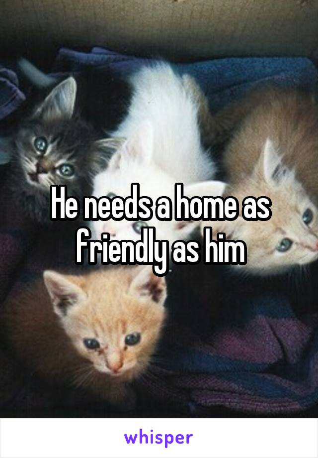 He needs a home as friendly as him