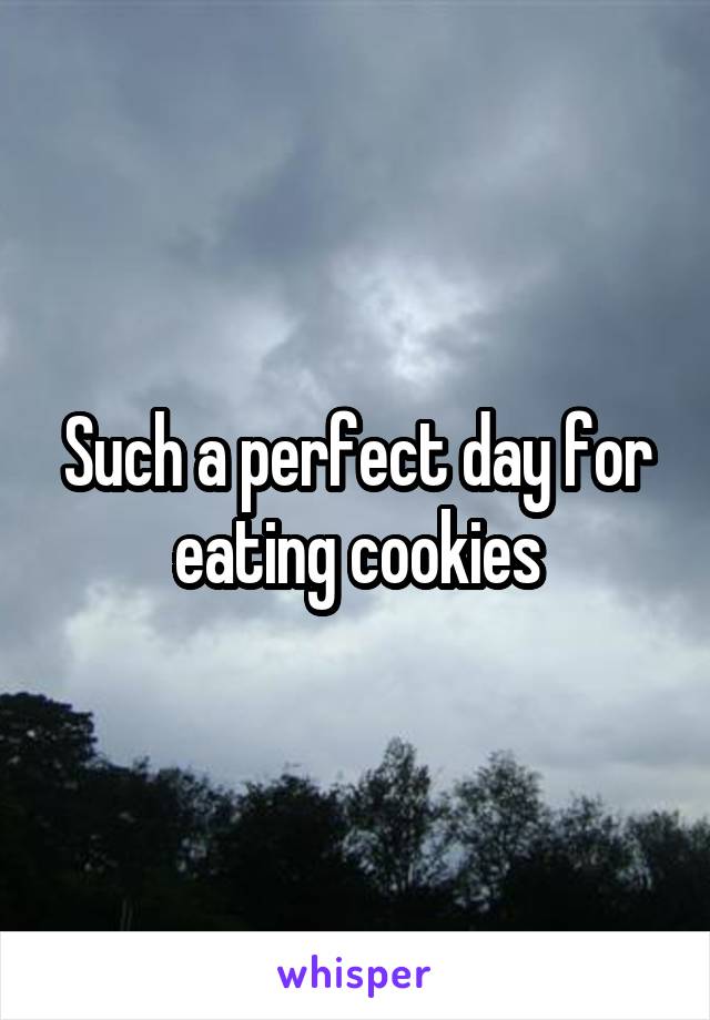 Such a perfect day for eating cookies