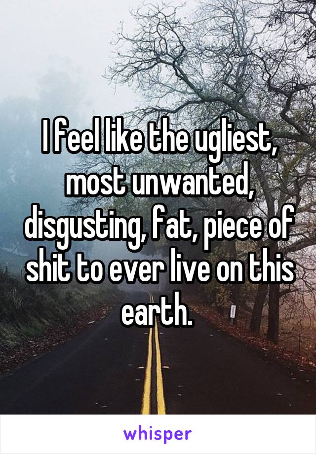 I feel like the ugliest, most unwanted, disgusting, fat, piece of shit to ever live on this earth. 