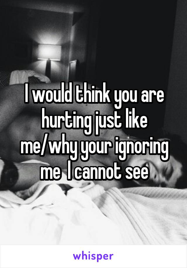 I would think you are hurting just like me/why your ignoring me  I cannot see