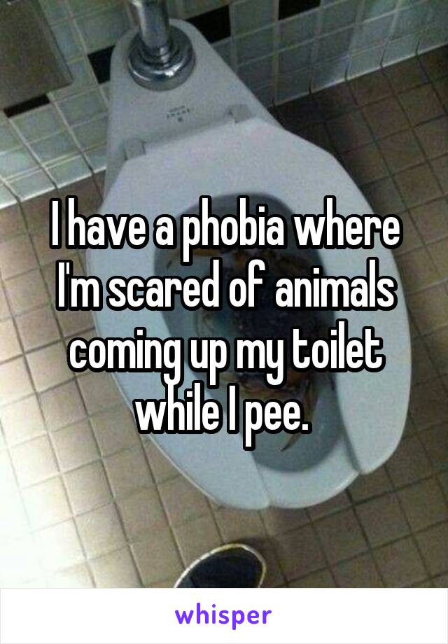 I have a phobia where I'm scared of animals coming up my toilet while I pee. 