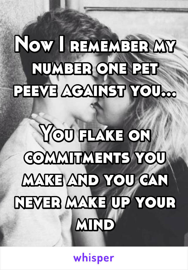 Now I remember my number one pet peeve against you...

You flake on commitments you make and you can never make up your mind