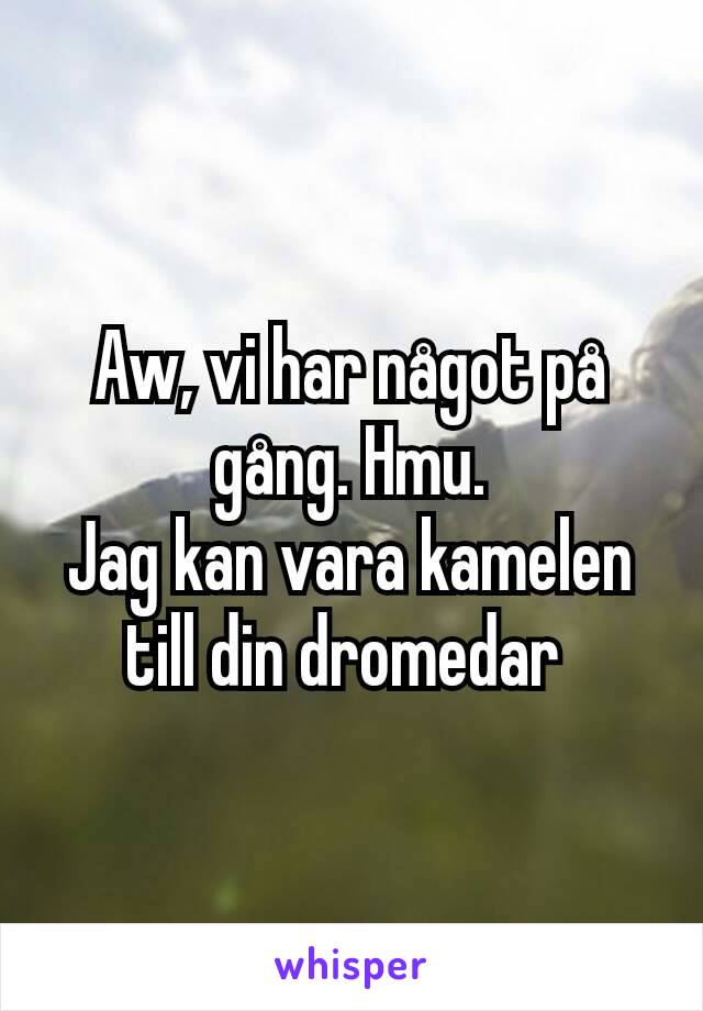 Aw, vi har något på gång. Hmu.
Jag kan vara kamelen till din dromedar 