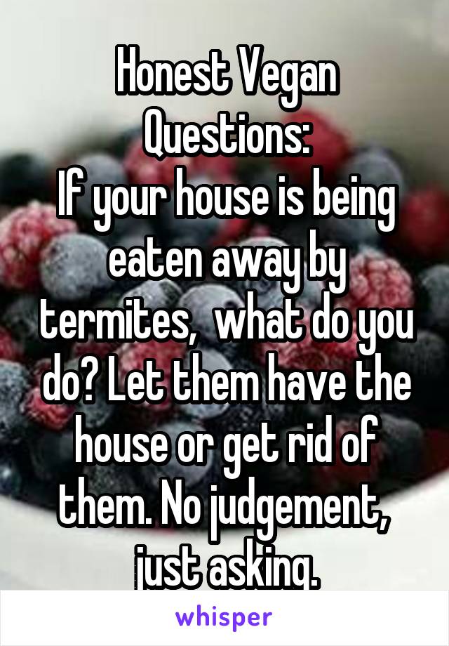 Honest Vegan Questions:
If your house is being eaten away by termites,  what do you do? Let them have the house or get rid of them. No judgement,  just asking.