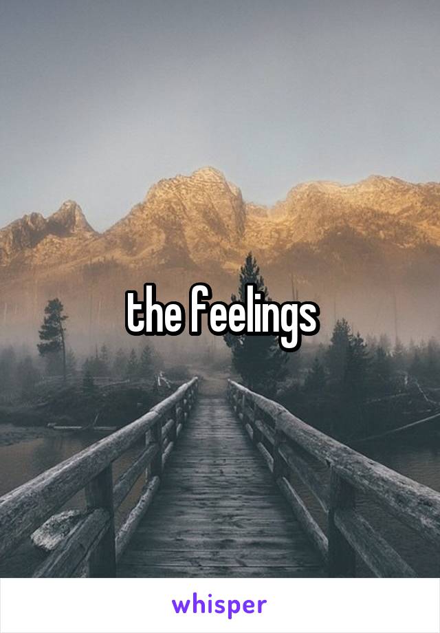 the feelings