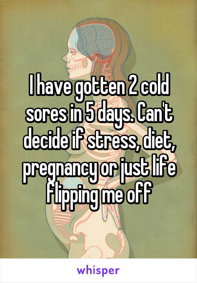 I have gotten 2 cold sores in 5 days. Can't decide if stress, diet, pregnancy or just life flipping me off