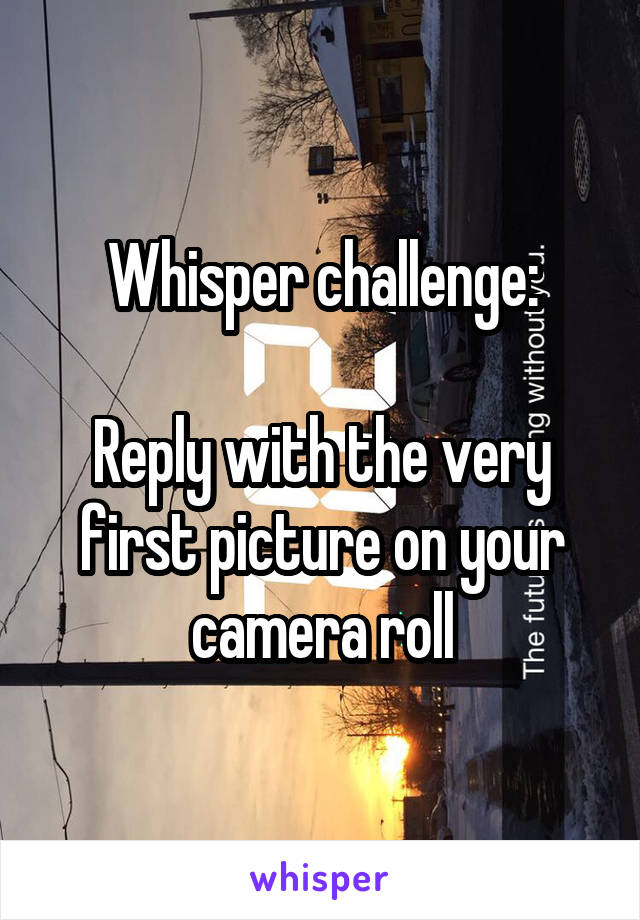 Whisper challenge:

Reply with the very first picture on your camera roll