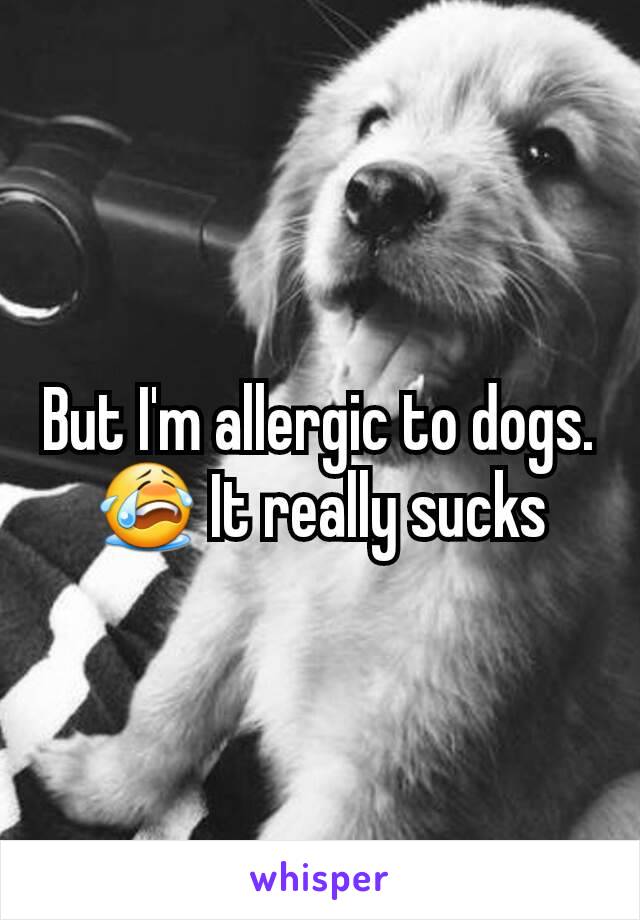 But I'm allergic to dogs. 😭 It really sucks