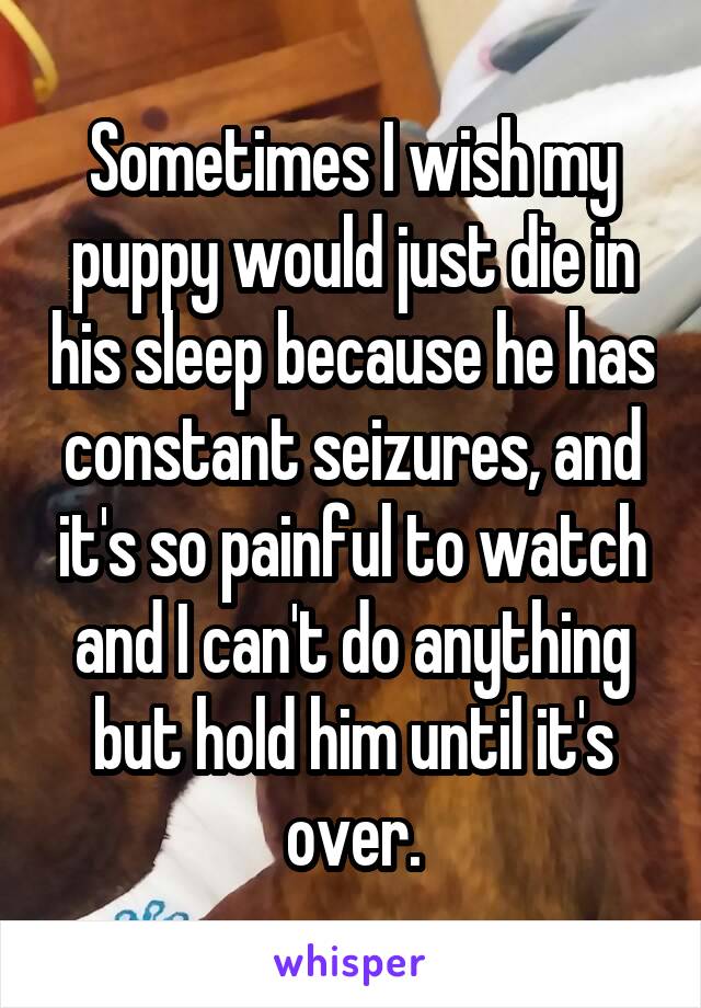 Sometimes I wish my puppy would just die in his sleep because he has constant seizures, and it's so painful to watch and I can't do anything but hold him until it's over.