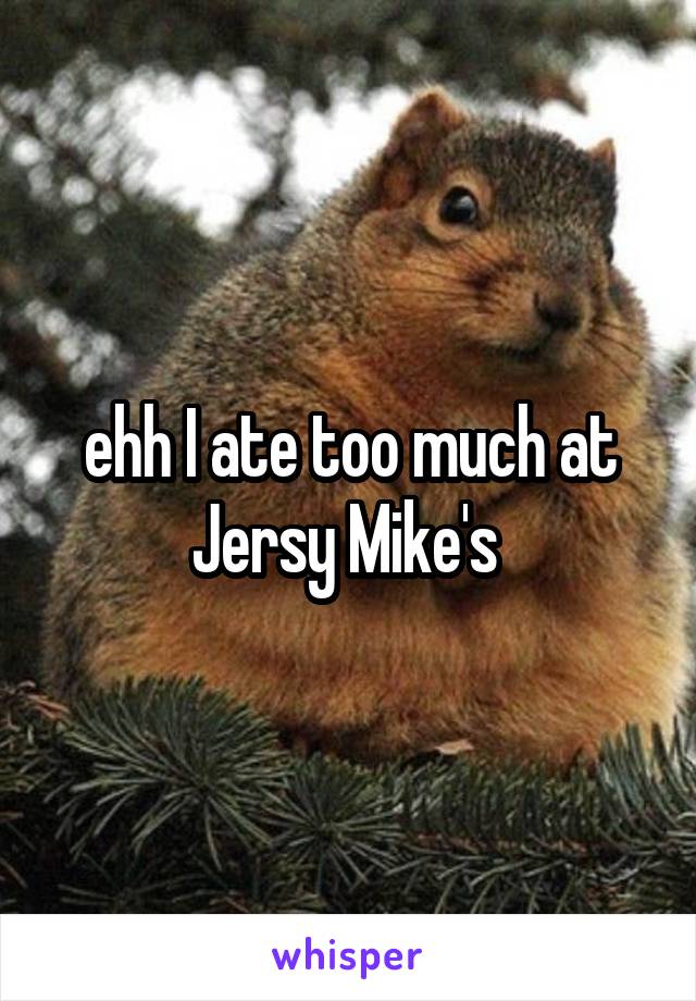 ehh I ate too much at Jersy Mike's 