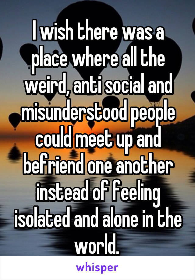 I wish there was a place where all the weird, anti social and misunderstood people could meet up and befriend one another instead of feeling isolated and alone in the world. 