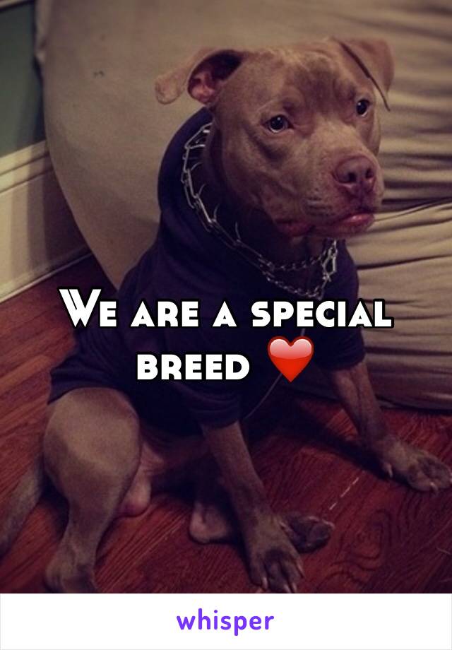 We are a special breed ❤️