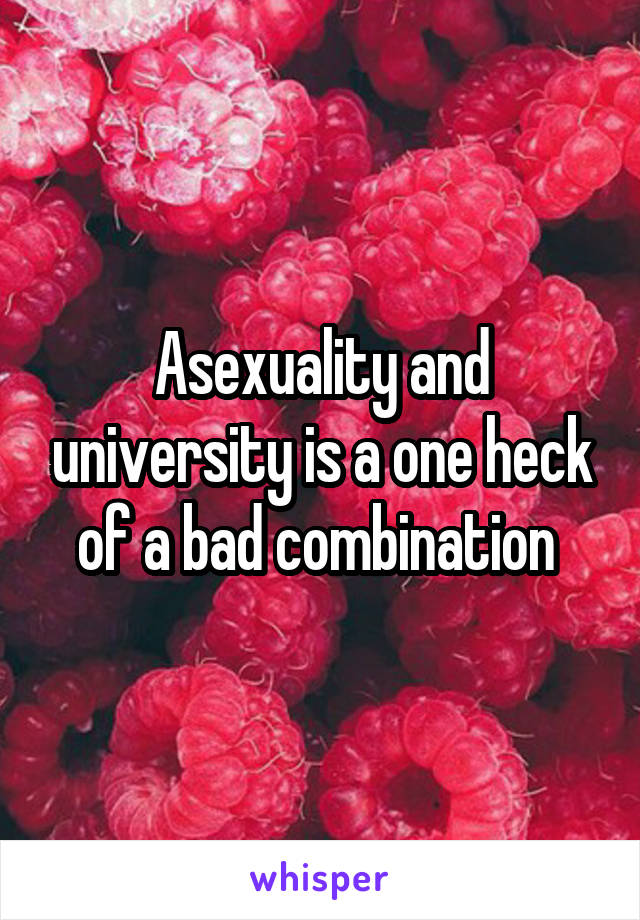 Asexuality and university is a one heck of a bad combination 