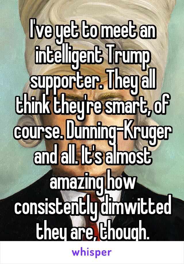 I've yet to meet an intelligent Trump supporter. They all think they're smart, of course. Dunning-Kruger and all. It's almost amazing how consistently dimwitted they are, though.