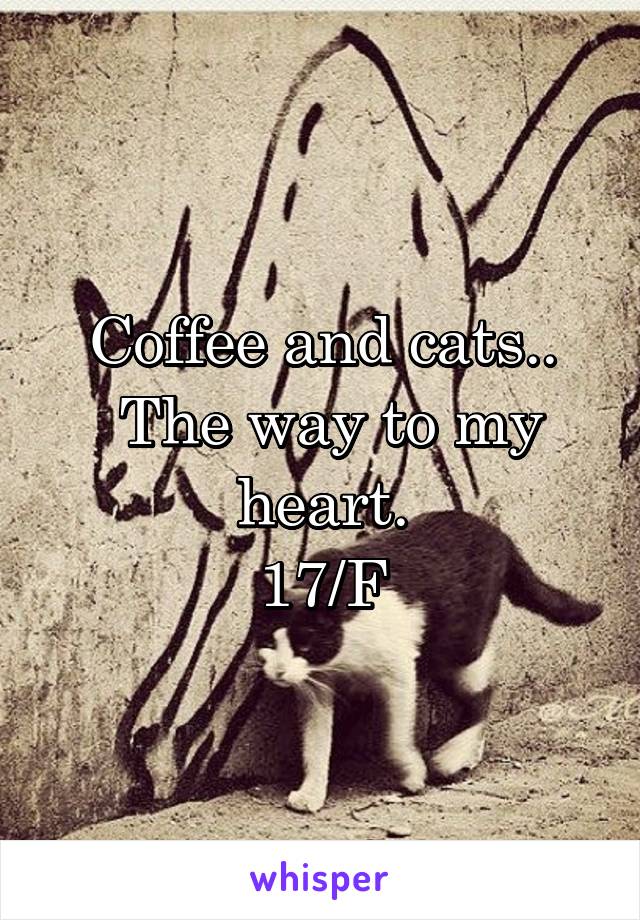 Coffee and cats..
 The way to my heart.
17/F