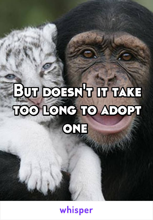 But doesn't it take too long to adopt one 