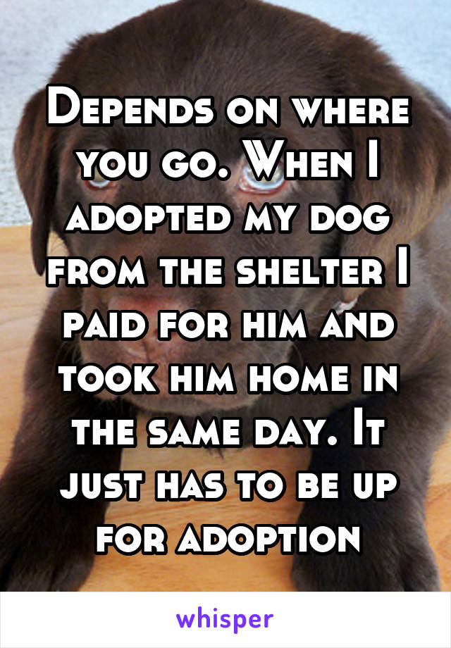 Depends on where you go. When I adopted my dog from the shelter I paid for him and took him home in the same day. It just has to be up for adoption