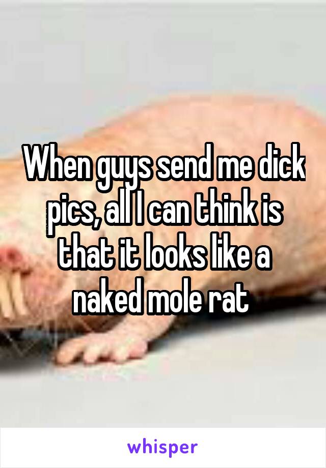 When guys send me dick pics, all I can think is that it looks like a naked mole rat 