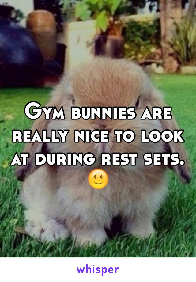 Gym bunnies are really nice to look at during rest sets. 🙂