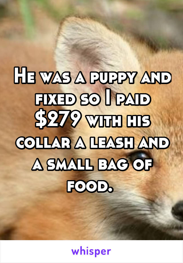 He was a puppy and fixed so I paid $279 with his collar a leash and a small bag of food. 