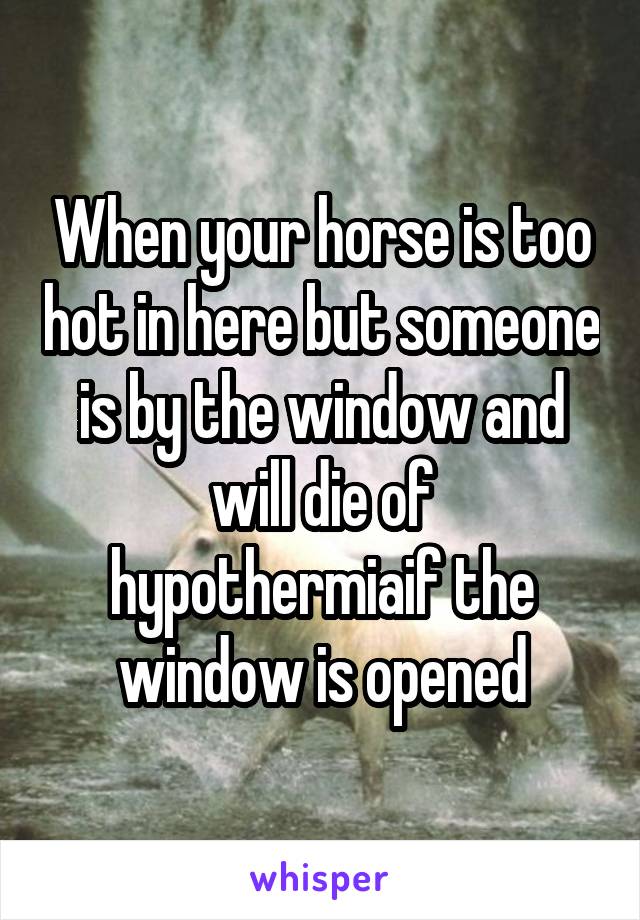 When your horse is too hot in here but someone is by the window and will die of hypothermiaif the window is opened