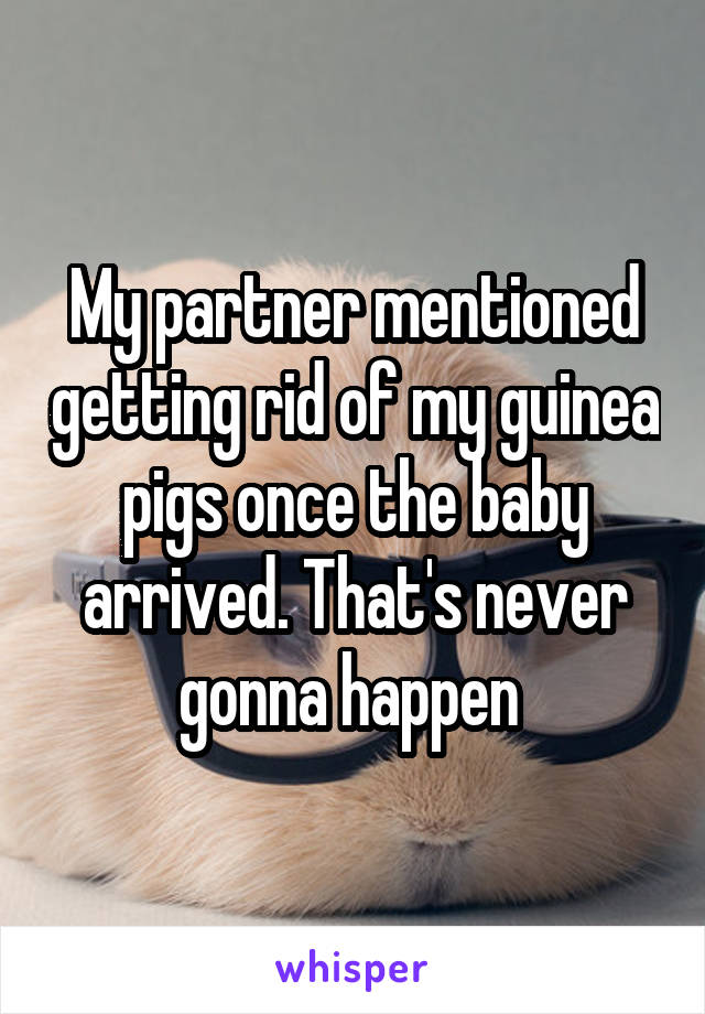 My partner mentioned getting rid of my guinea pigs once the baby arrived. That's never gonna happen 