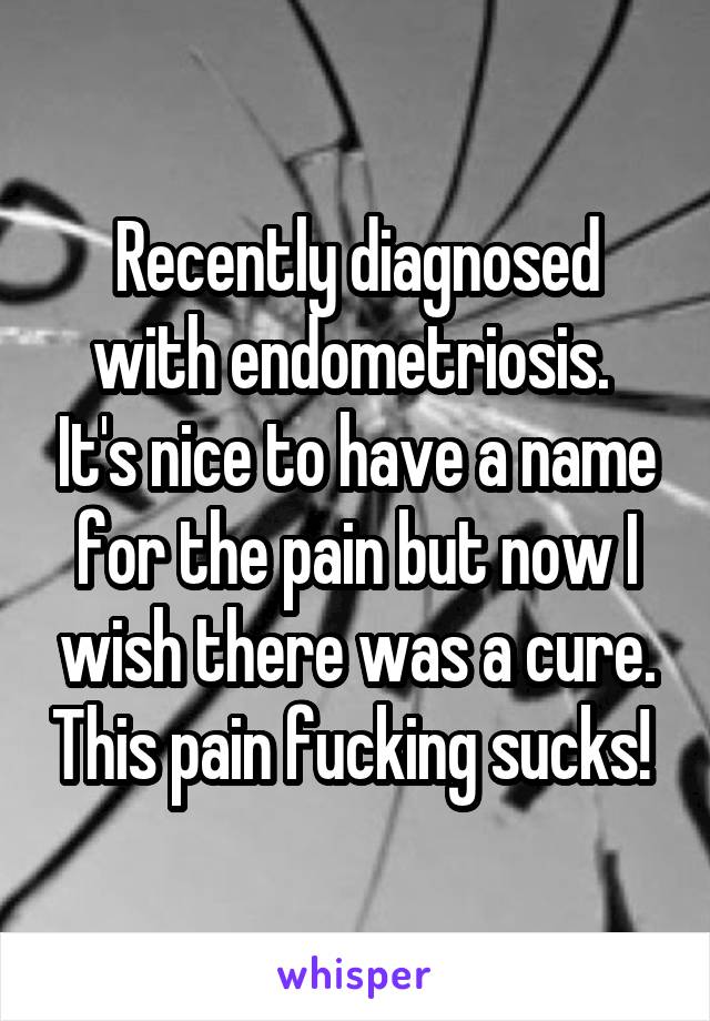 Recently diagnosed with endometriosis.  It's nice to have a name for the pain but now I wish there was a cure. This pain fucking sucks! 