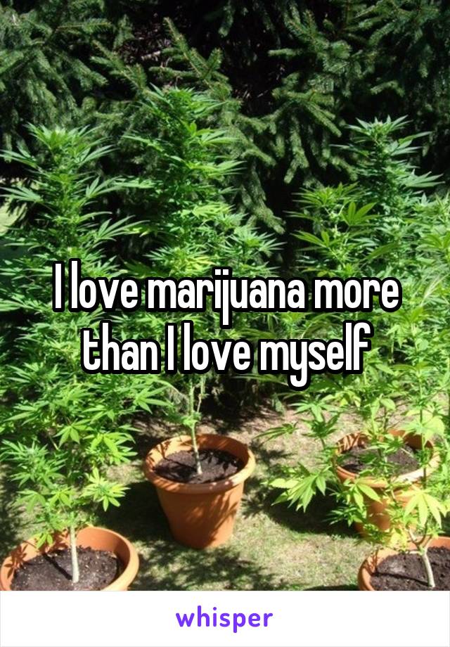 I love marijuana more than I love myself