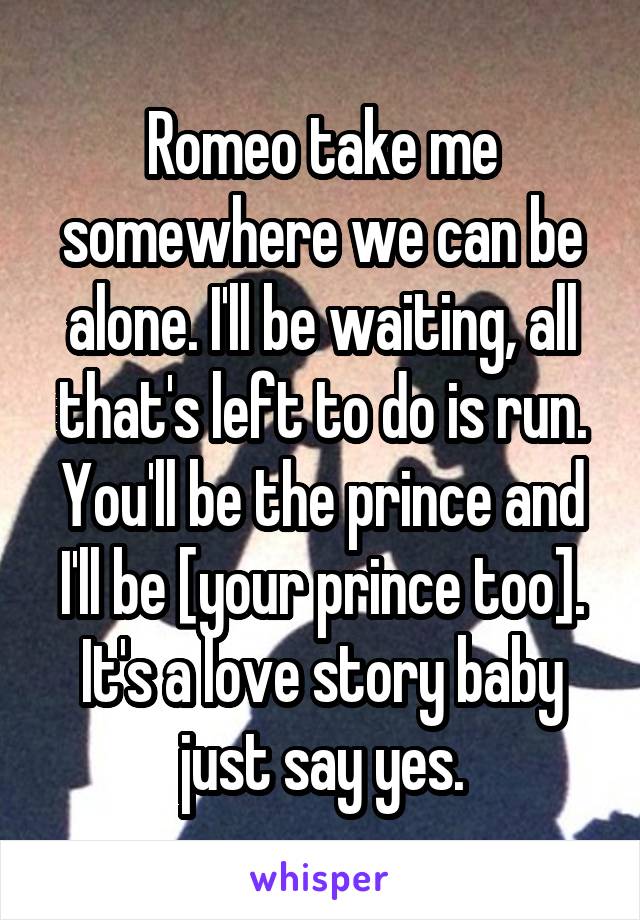 Romeo take me somewhere we can be alone. I'll be waiting, all that's left to do is run.
You'll be the prince and I'll be [your prince too].
It's a love story baby just say yes.