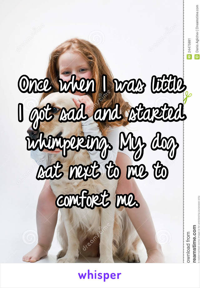 Once when I was little I got sad and started whimpering. My dog sat next to me to comfort me. 